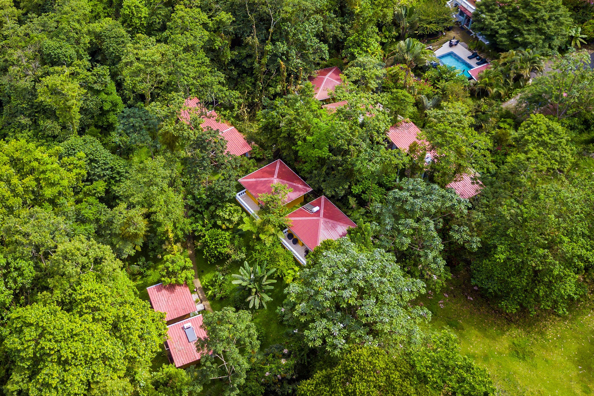 Tifakara Birding Oasis