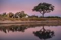 The Safari Sundowner Experience