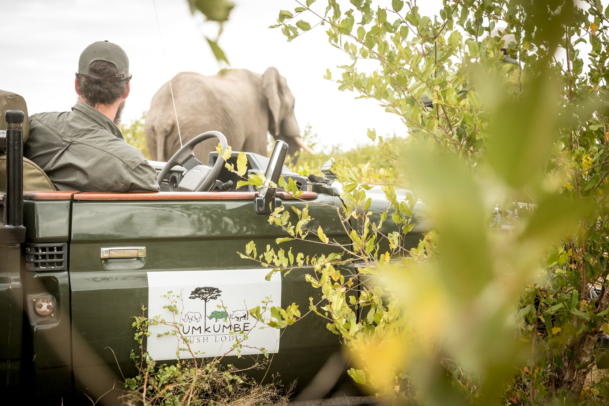 The Safari Experience