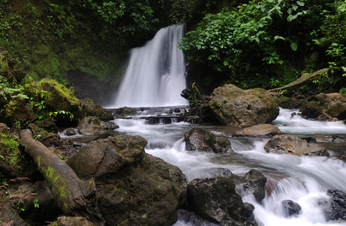 Arenal Observatory Lodge & Trails