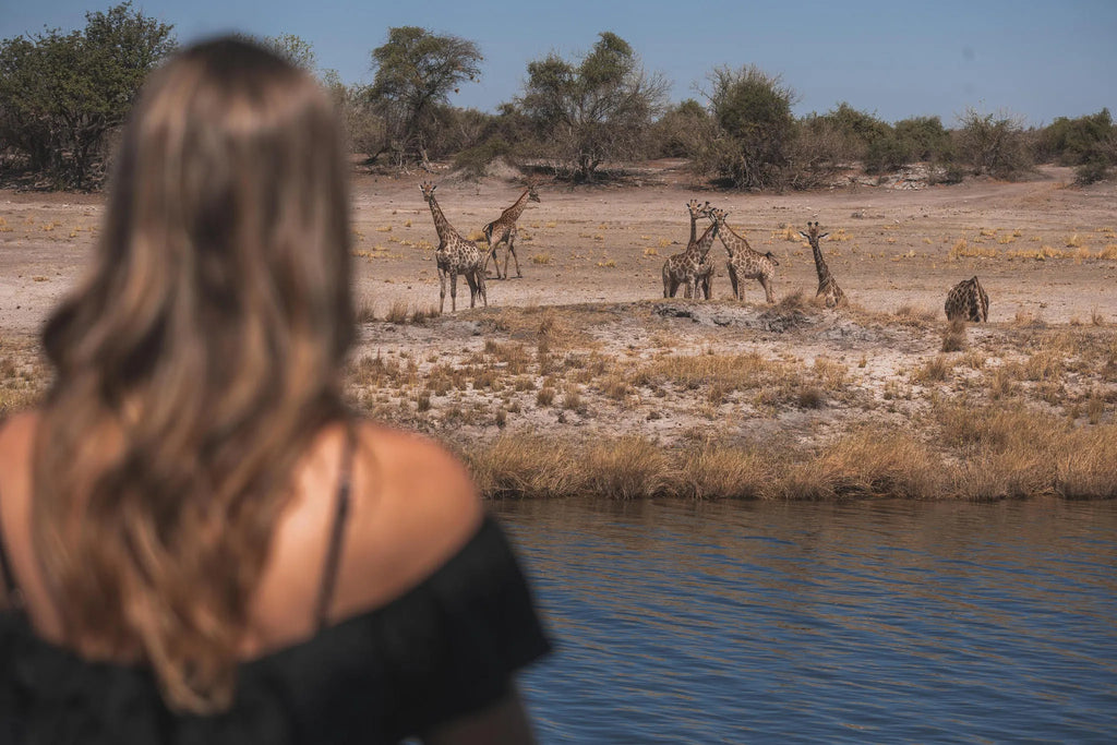 Chobe Princess Game Viewing from Vessel at Chobe Princess By Mantis, Chobe River Front Namibia, Namibia.
