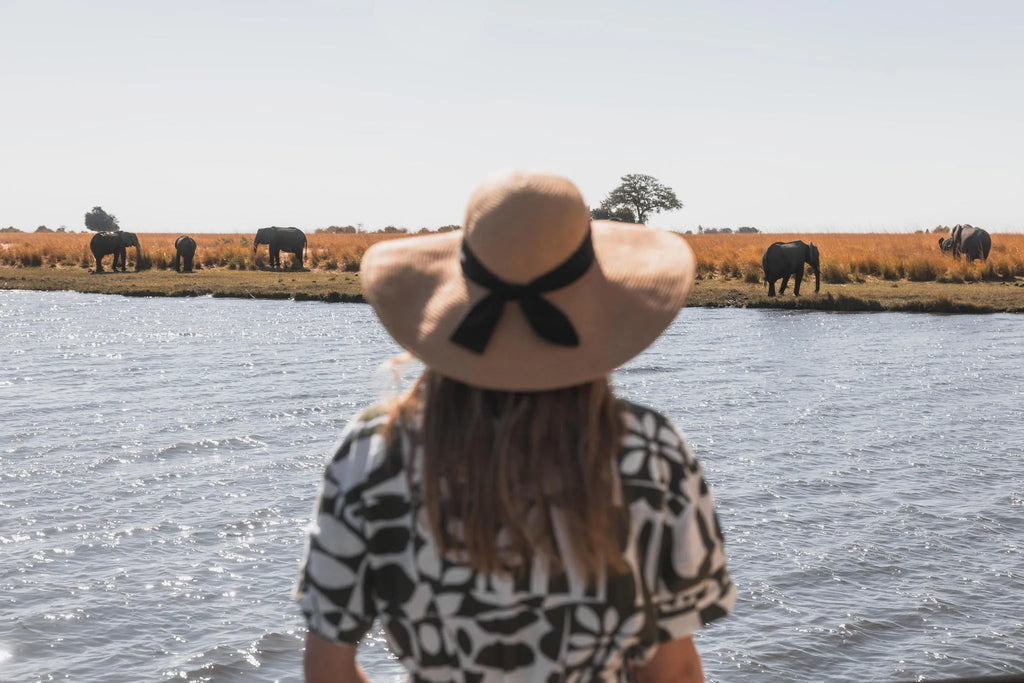 Chobe Princess Game Viewing from Vessel at Chobe Princess By Mantis, Chobe River Front Namibia, Namibia.