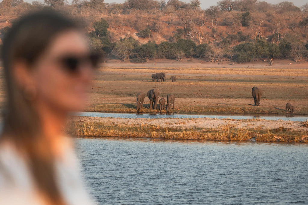 Chobe Princess Game Viewing from Vessel at Chobe Princess By Mantis, Chobe River Front Namibia, Namibia.