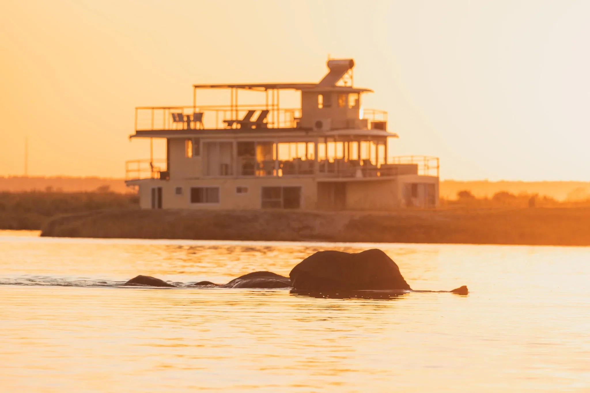 Chobe Princess with Elephant crossing at Chobe Princess By Mantis, Chobe River Front Namibia, Namibia.