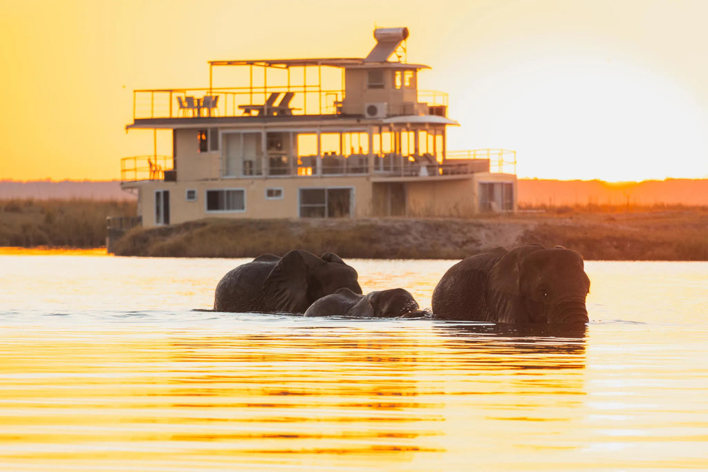 Chobe Princess with Elephants crossing at Chobe Princess By Mantis, Chobe River Front Namibia, Namibia.
