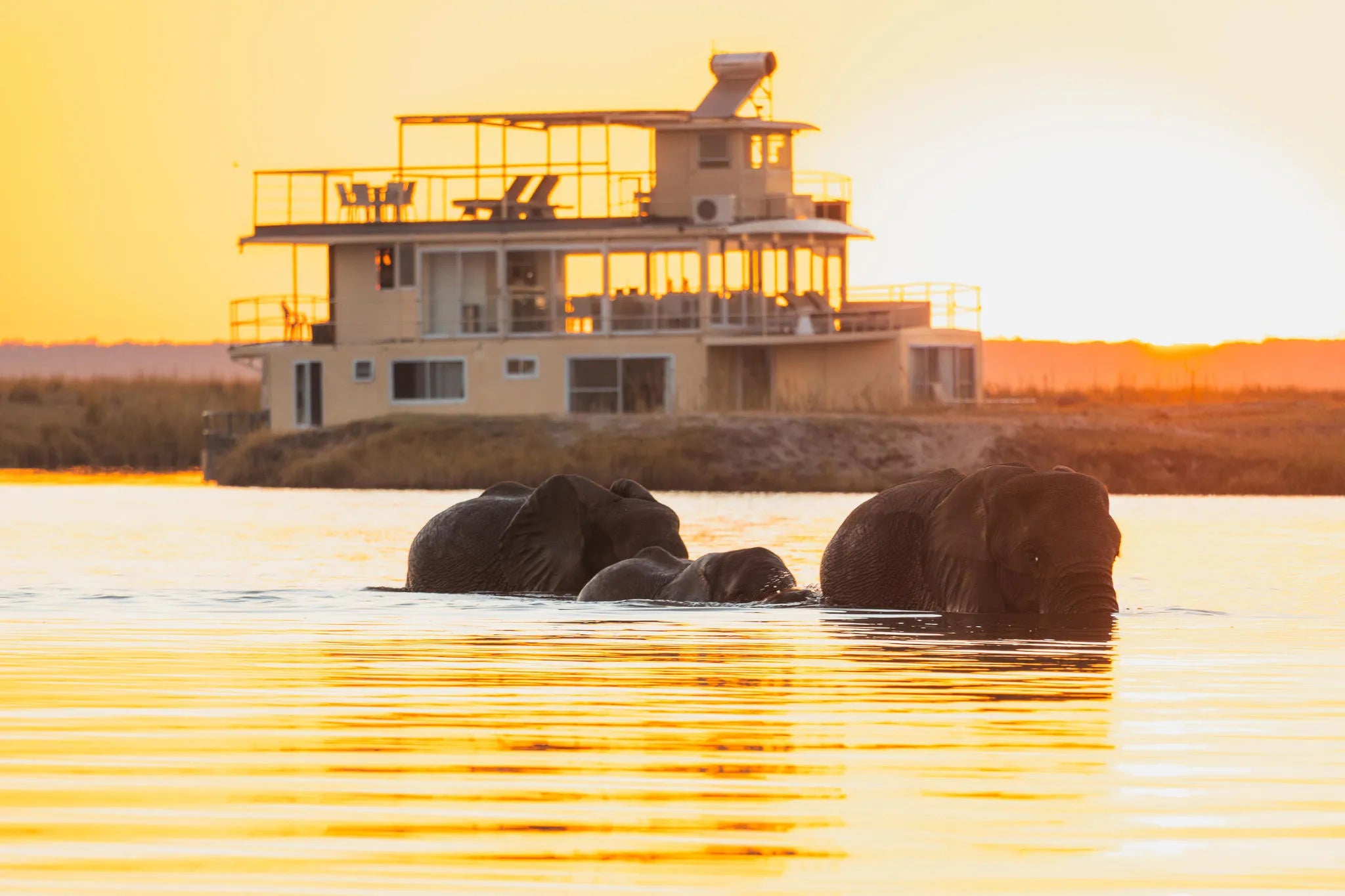 Chobe Princess with Elephants crossing at Chobe Princess By Mantis, Chobe River Front Namibia, Namibia.