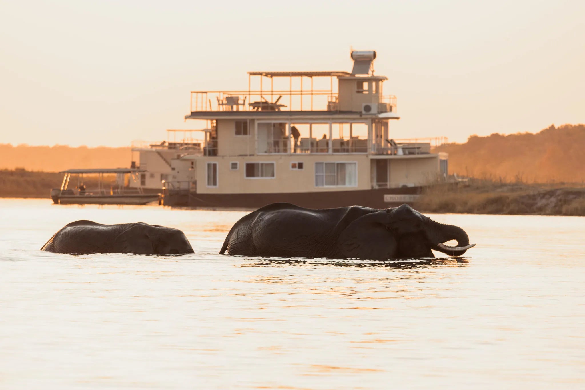 Chobe Princess with Elephants crossing at sunset at Chobe Princess By Mantis, Chobe River Front Namibia, Namibia.
