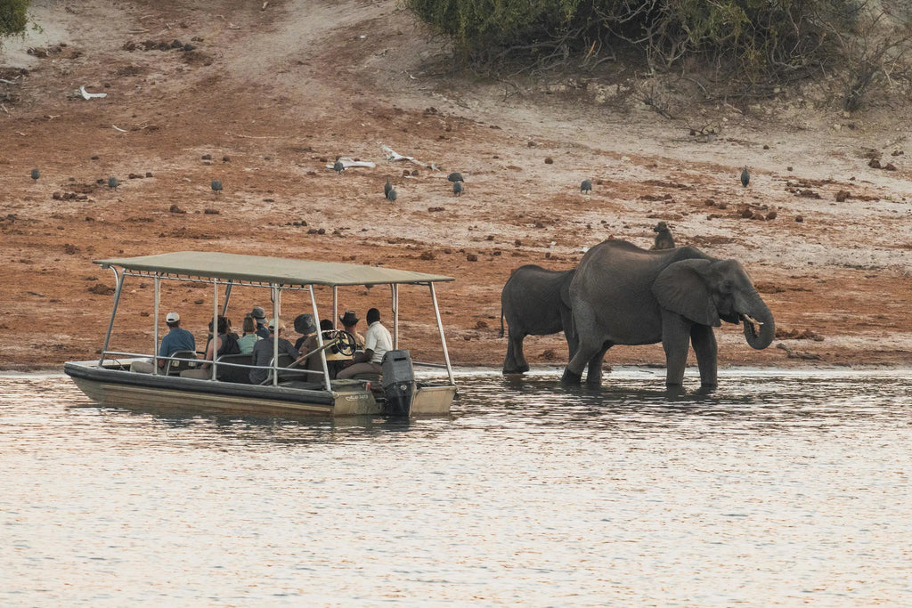 Zambezi Queen Collection Game Viewing Tender Boat at Chobe Princess By Mantis, Chobe River Front Namibia, Namibia.