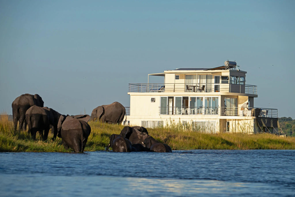 Zambezi Queen Collection_Game Viewing_Water based safari at Chobe Princess By Mantis, Chobe River Front Namibia, Namibia.