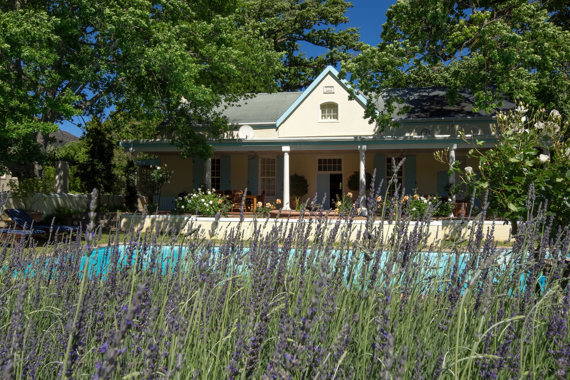 The self-catering villa