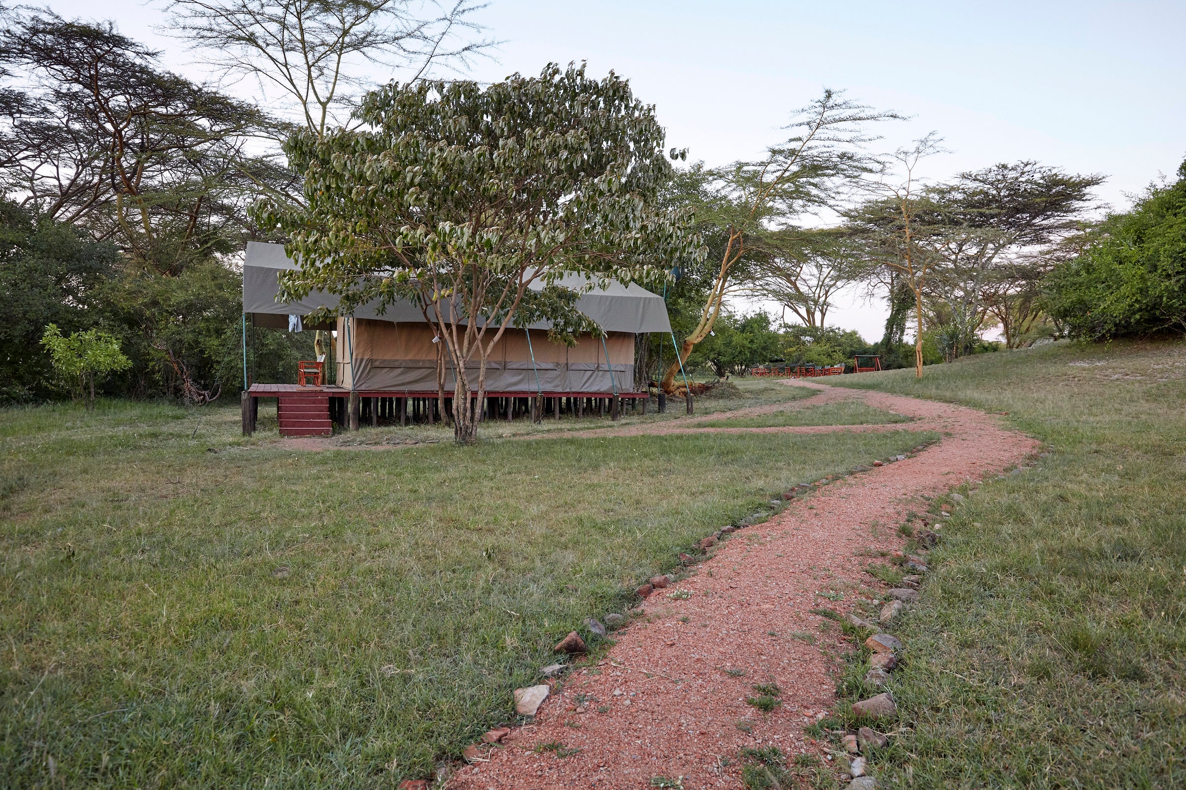 Porini Mara Camp — Porini Tent