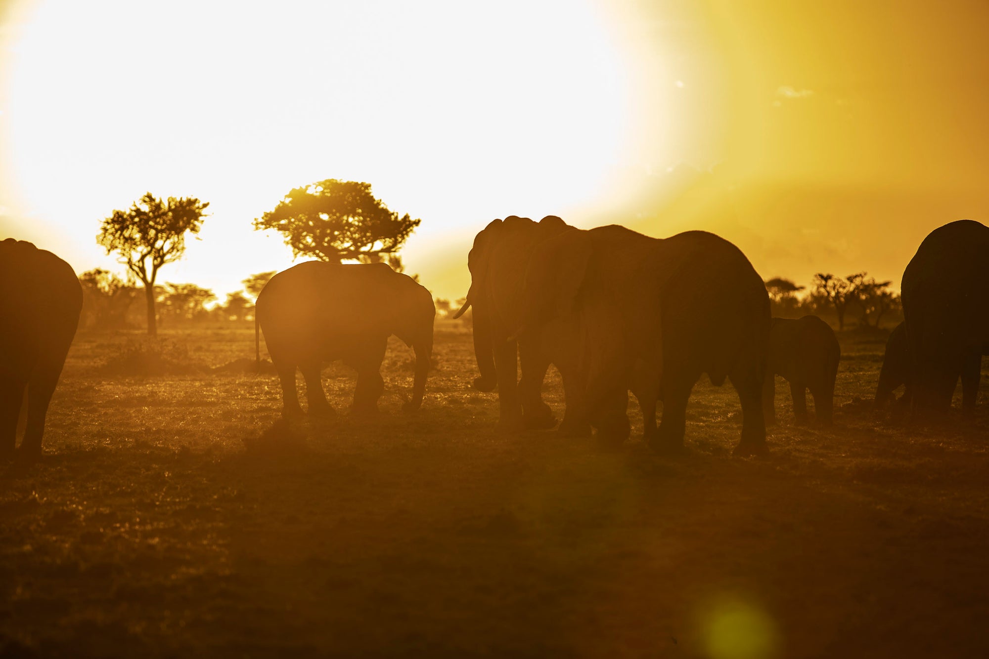 Sun-downers from scenic locations