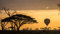 Balloon Safaris
