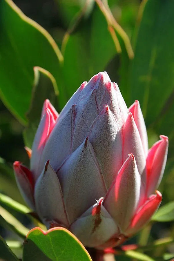 Featured image.