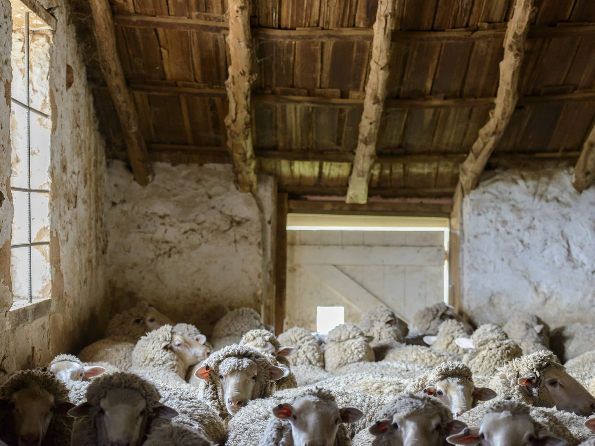 Guided Tours of the Historic Bungaree Station Complex
