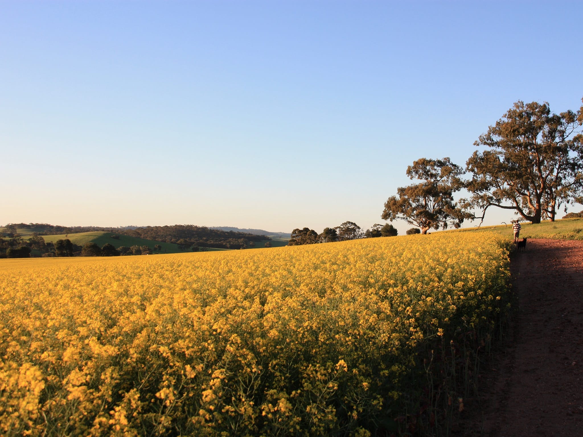Guided Tours of the Historic Bungaree Station Complex