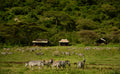 Esirai Camp (South)