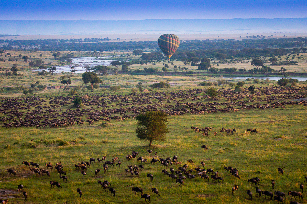 Hot Air Balloon Ride - Esirai Camp