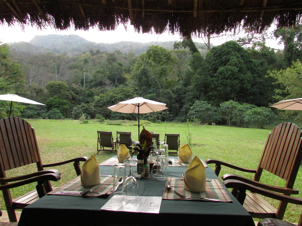 Canapy Bar & Restaurant