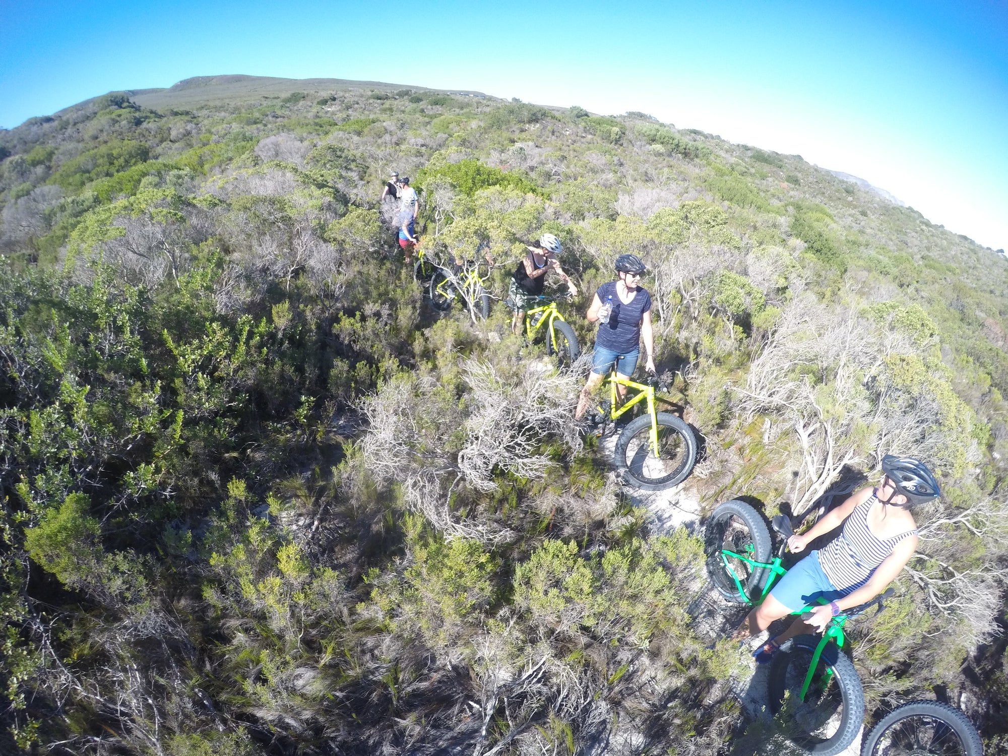 Fat Biking