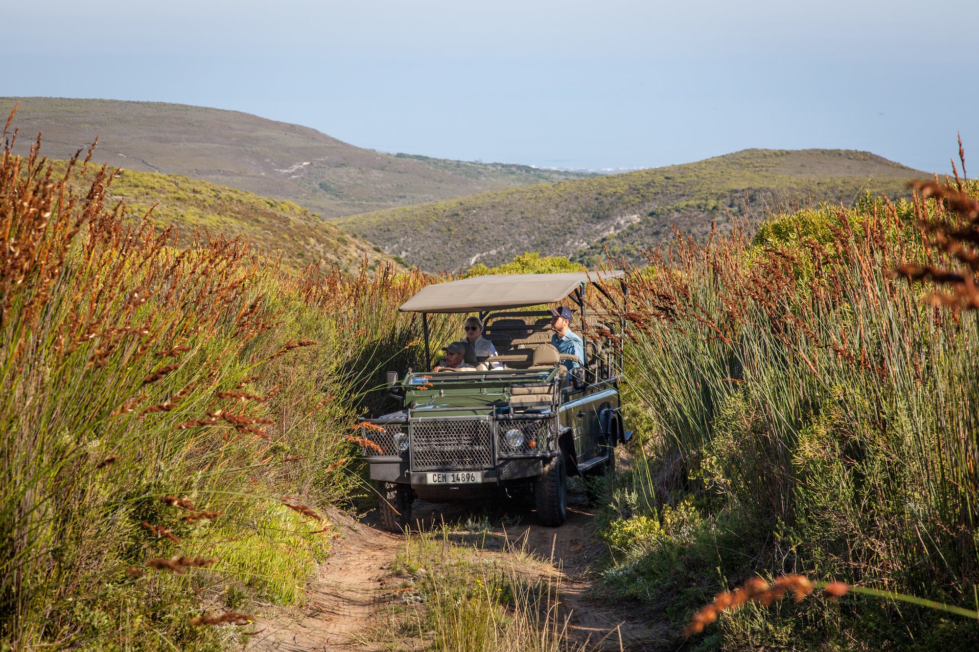 4x4 Flower Safari