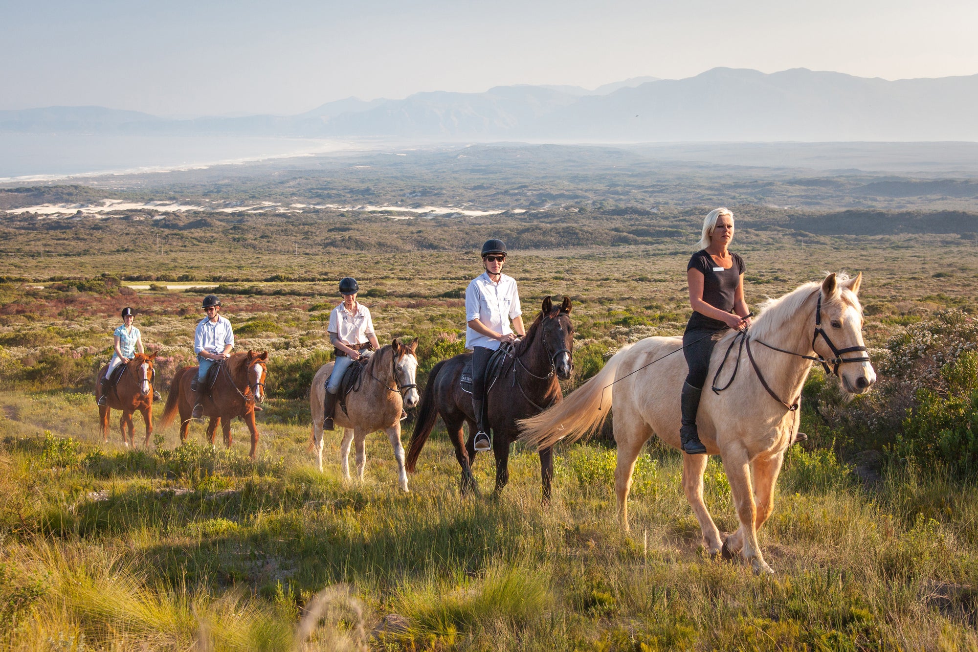 Horse Riding on the Reserve