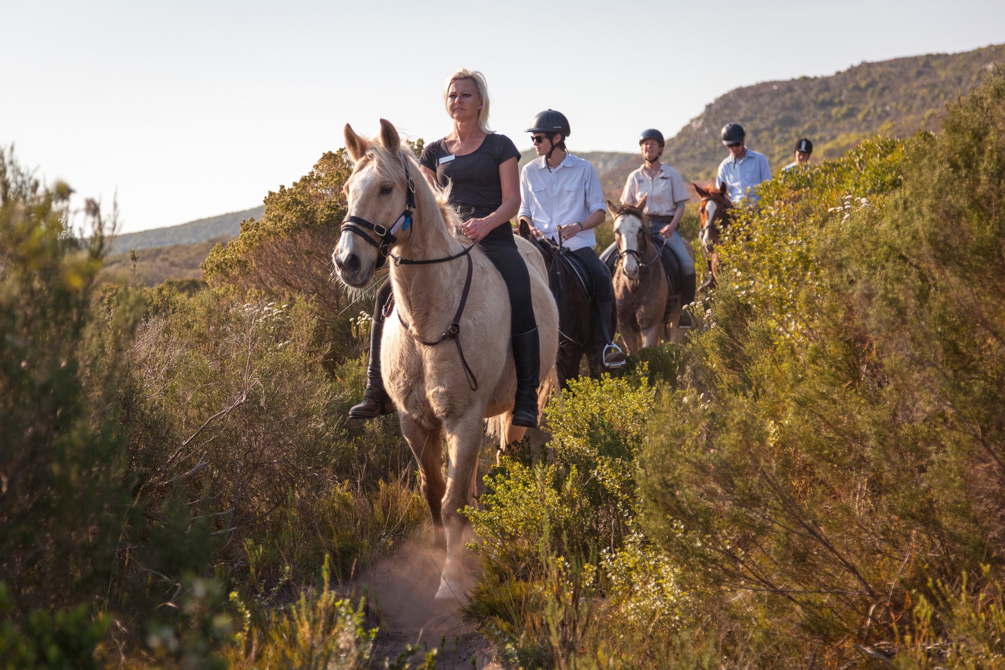 Horse Riding on the Reserve