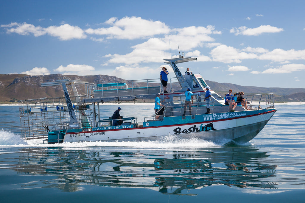 Shark Cage Diving