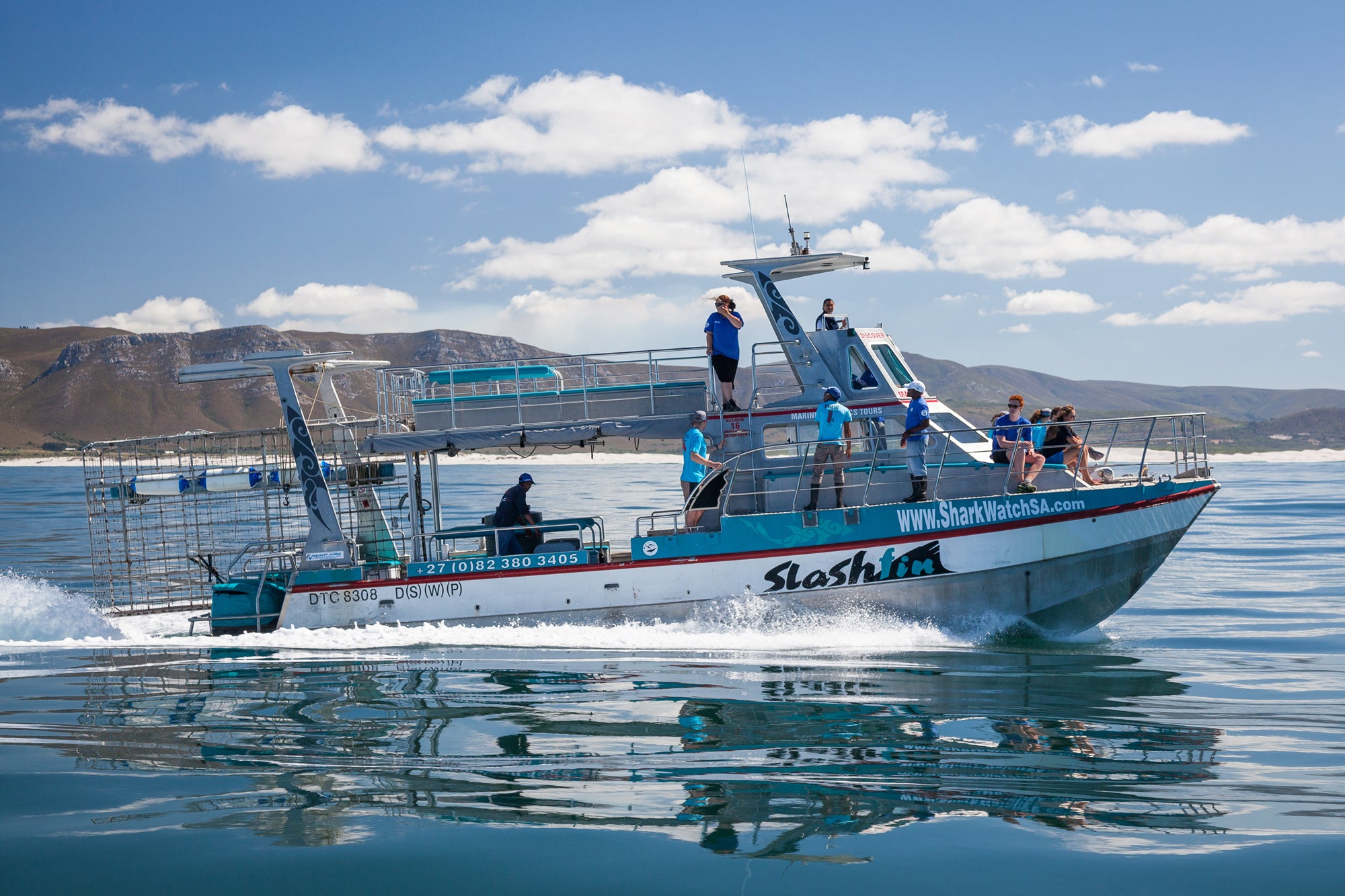 Shark Cage Diving