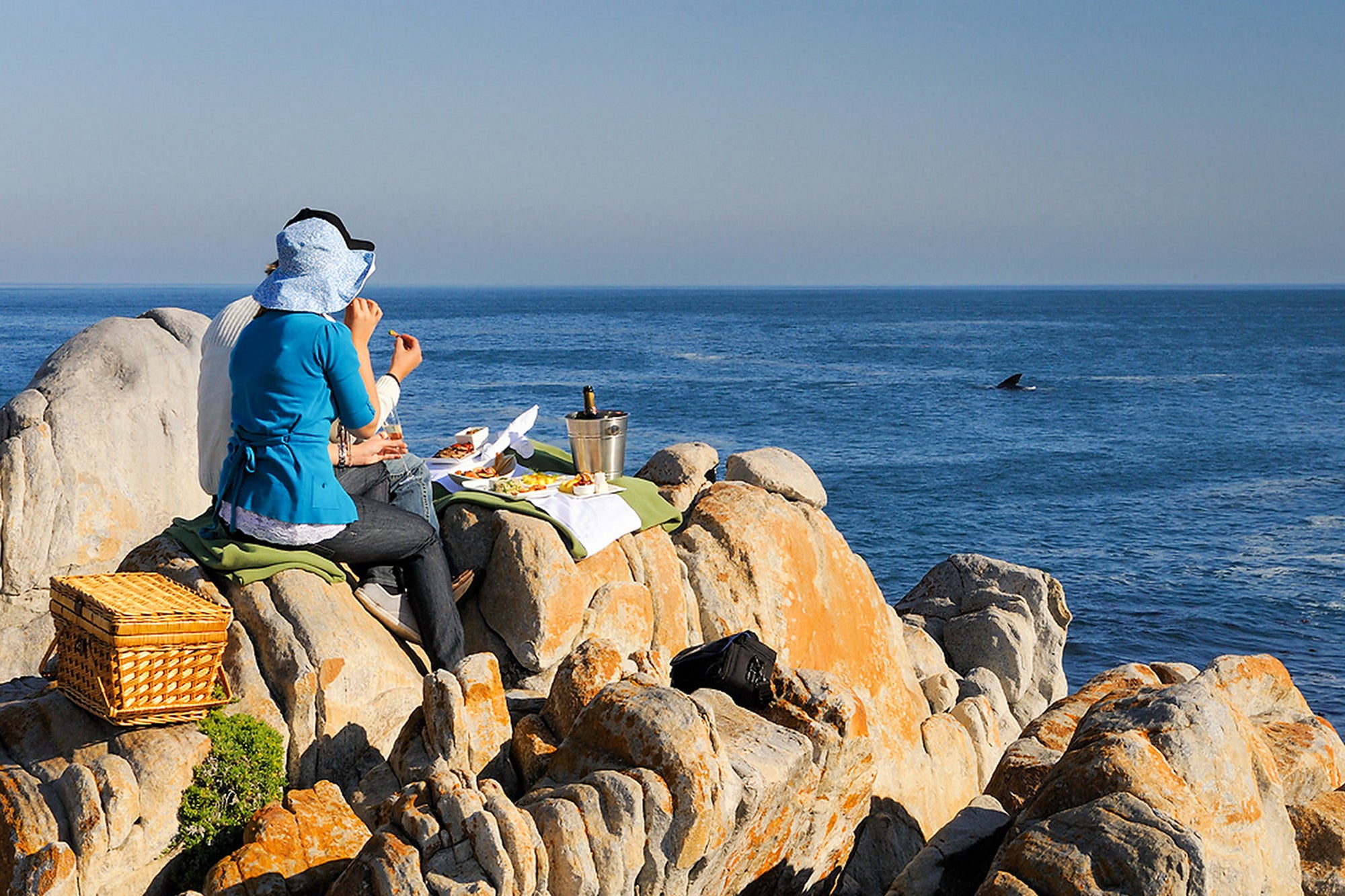 Land-based Whale Watching (June - December)