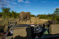 Game Viewing