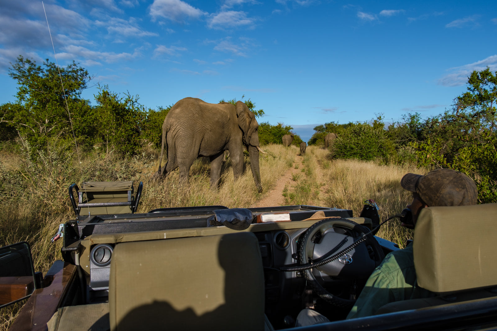 Jozini Tiger Lodge — Game Viewing