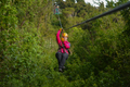 Canopy Tour