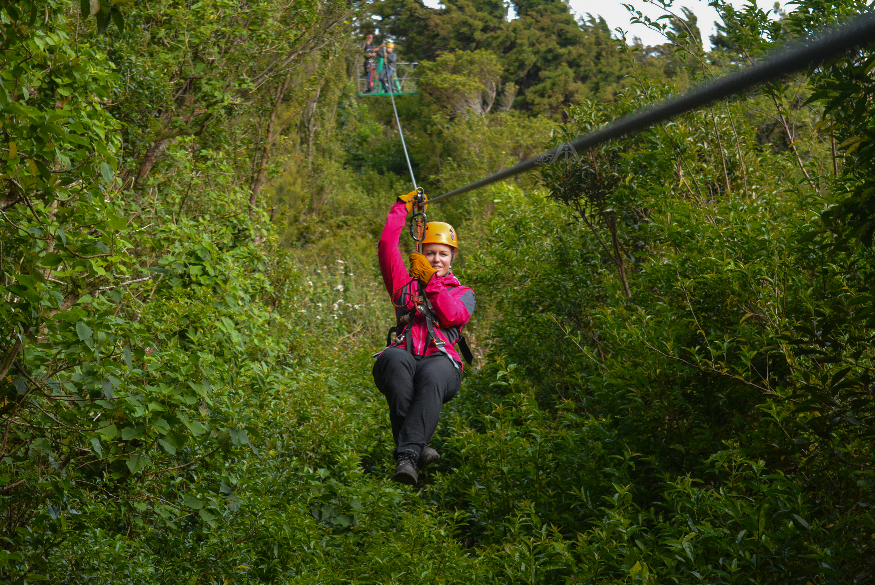 Canopy Tour