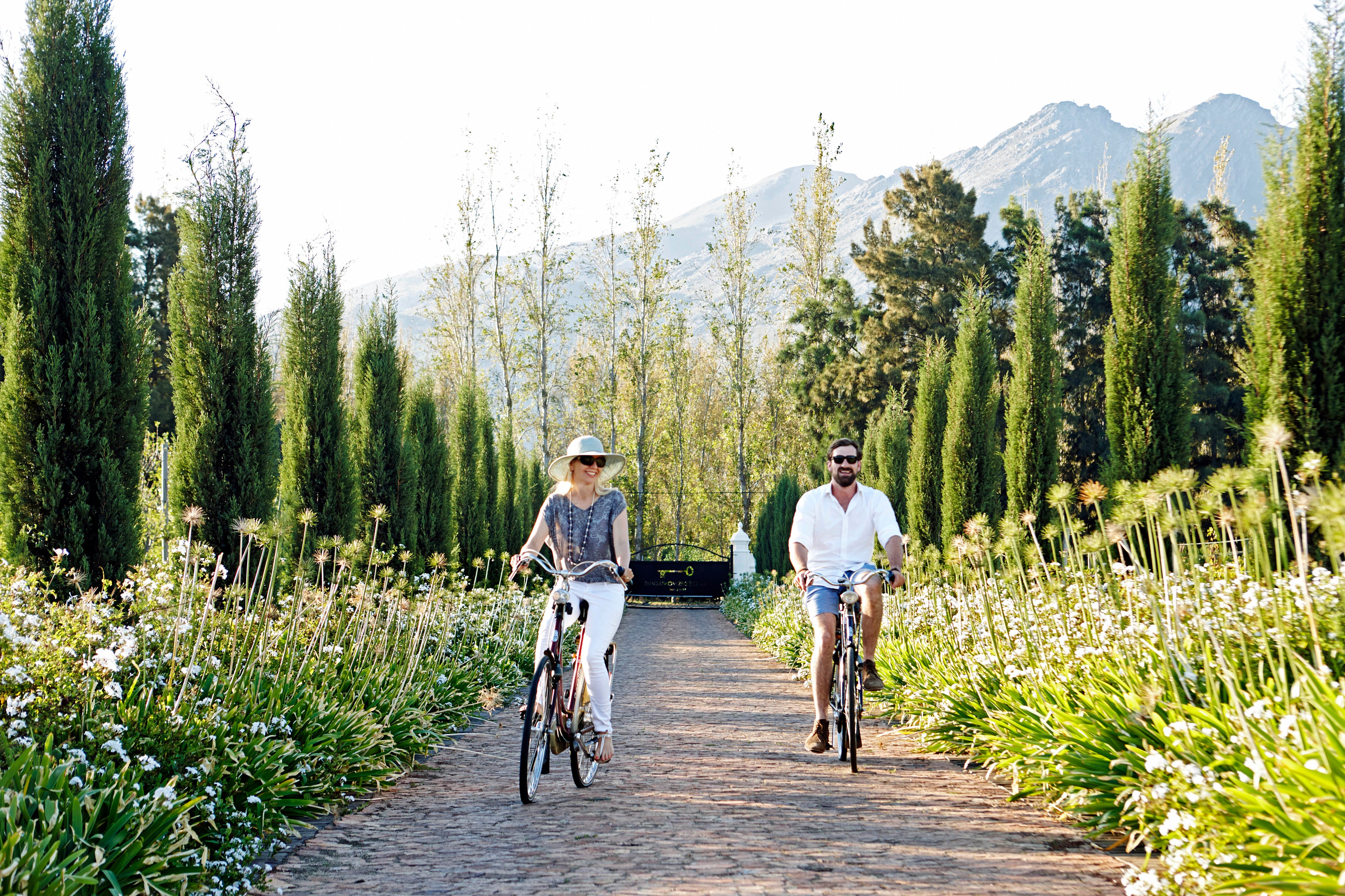 Cycle into town