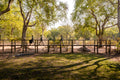 Walkways