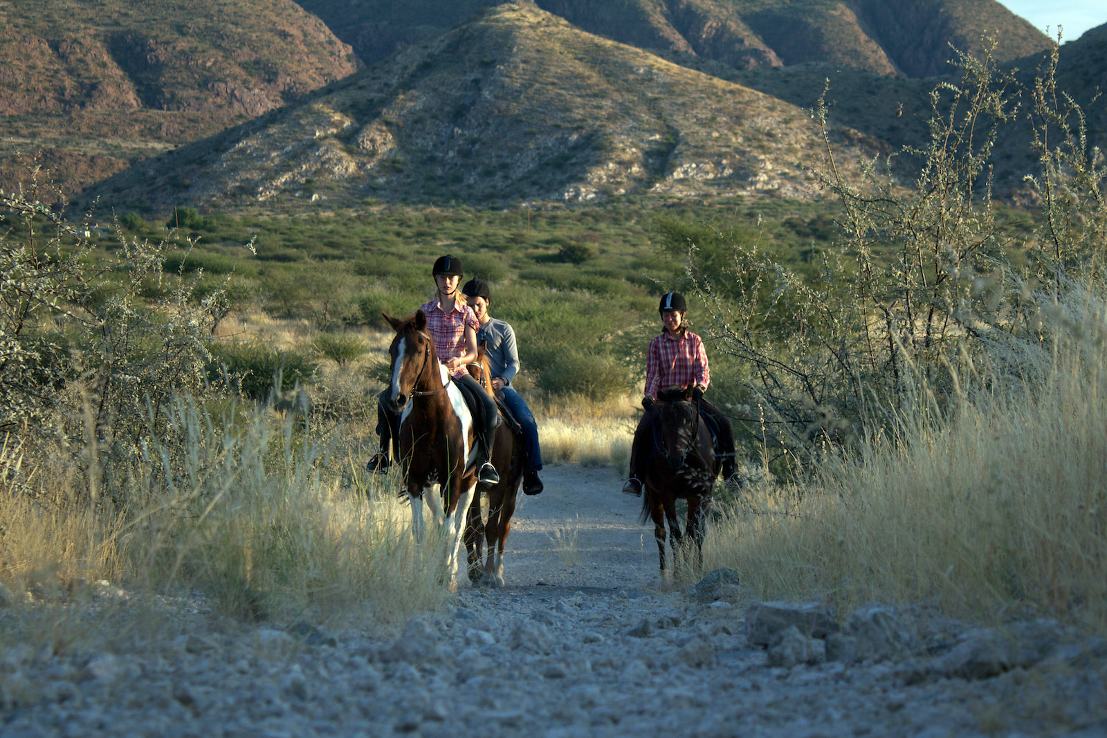 Etusis Lodge — Horse-riding