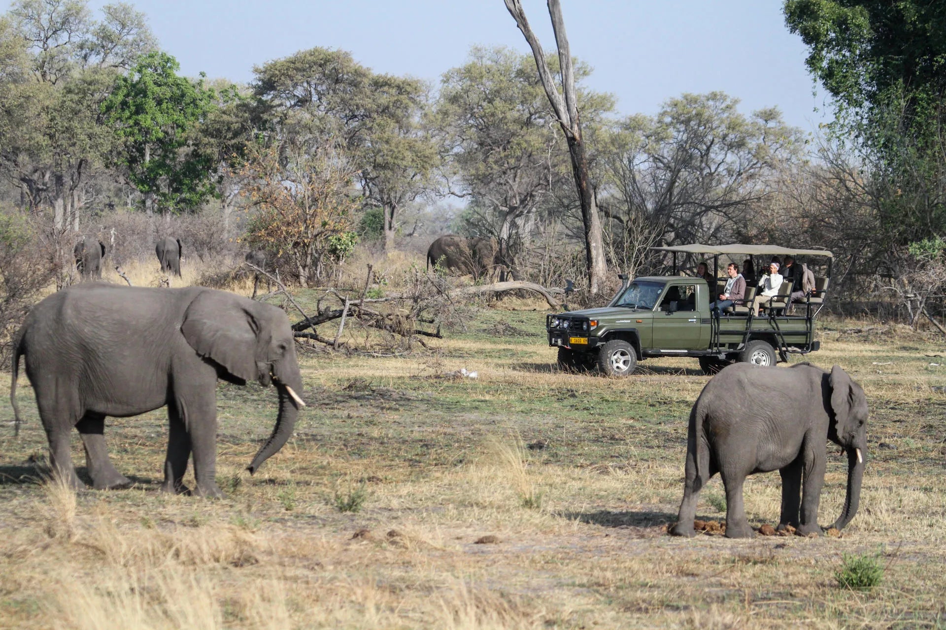 Game Drive at Nkasa Lupala Tented Lodge, Nkasa Rupara National Park, Namibia.