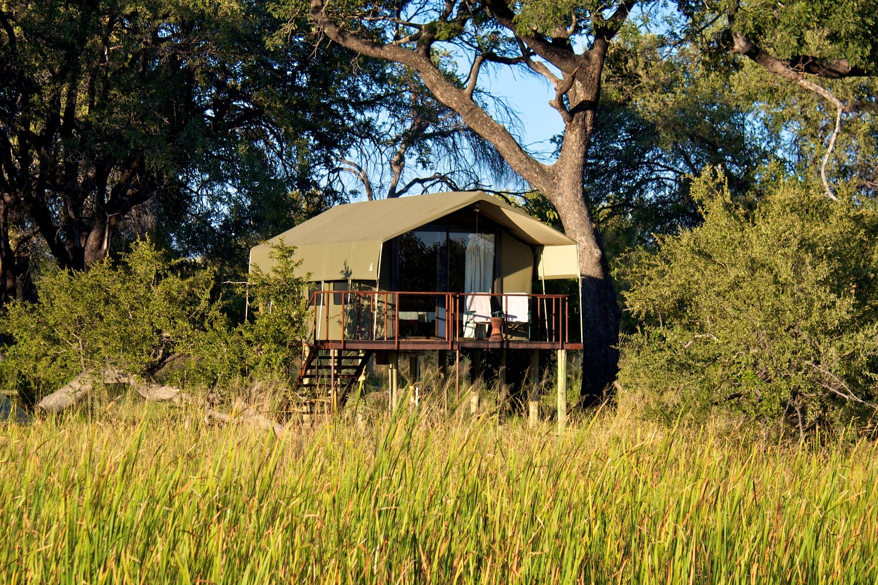 Family Tent