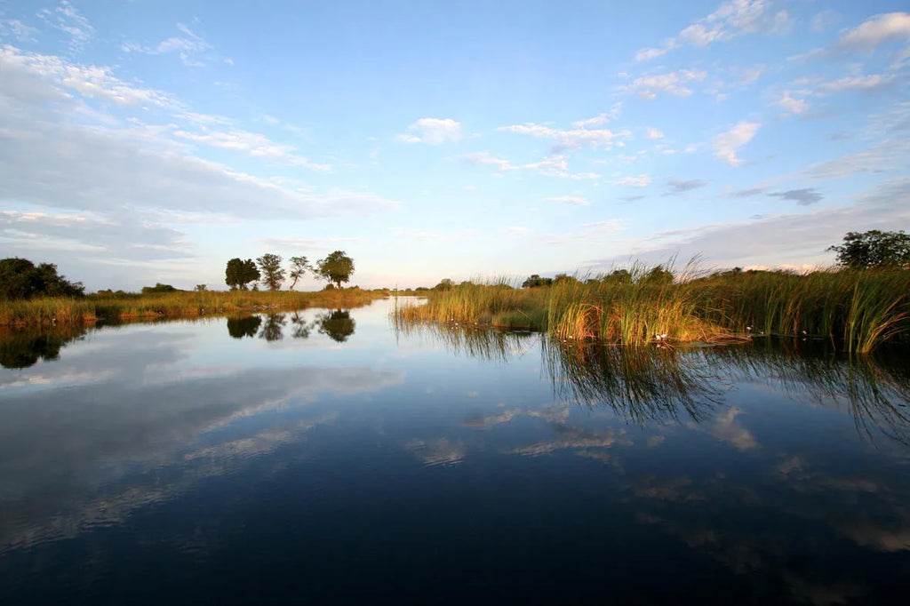 River Channels at Nkasa Lupala Tented Lodge, Nkasa Rupara National Park, Namibia.
