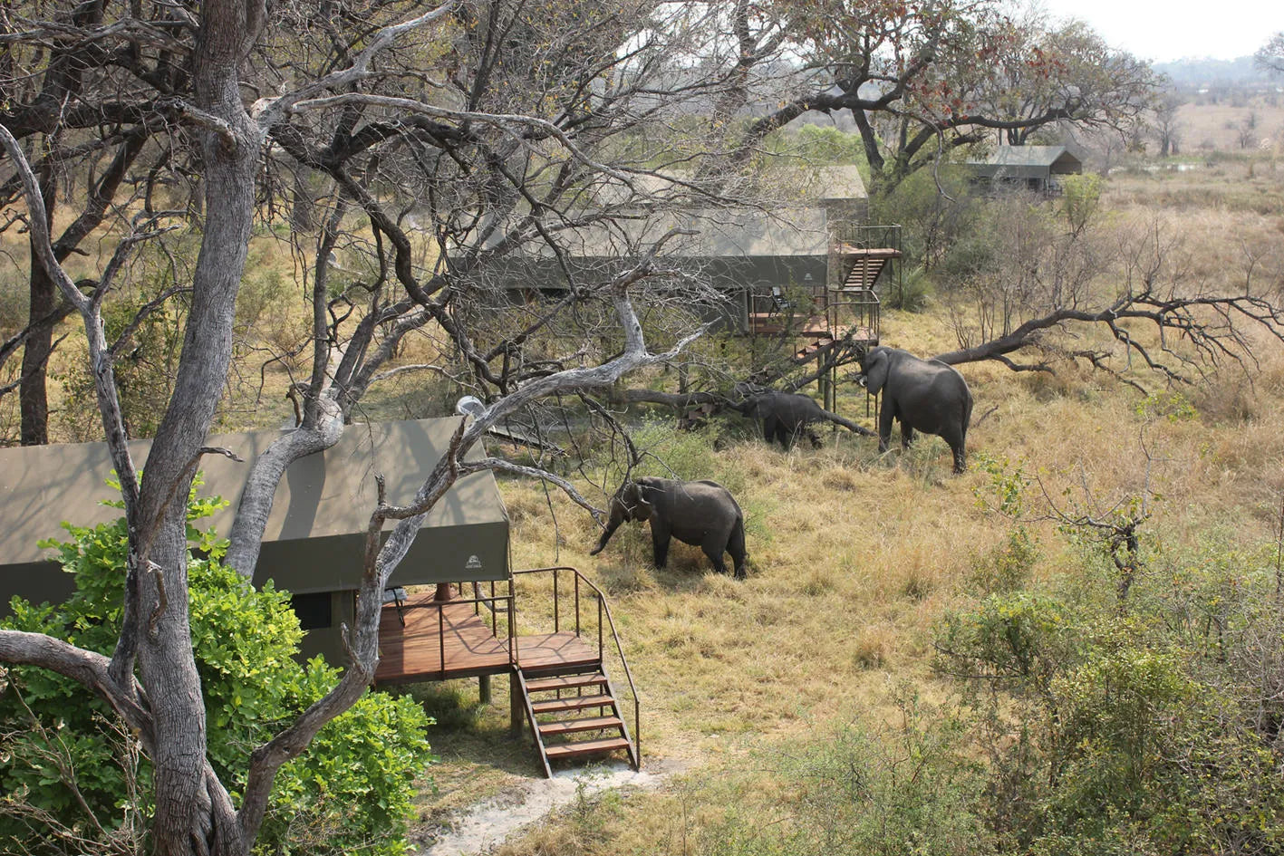 Lodge Surrounding at Nkasa Lupala Tented Lodge, Nkasa Rupara National Park, Namibia.