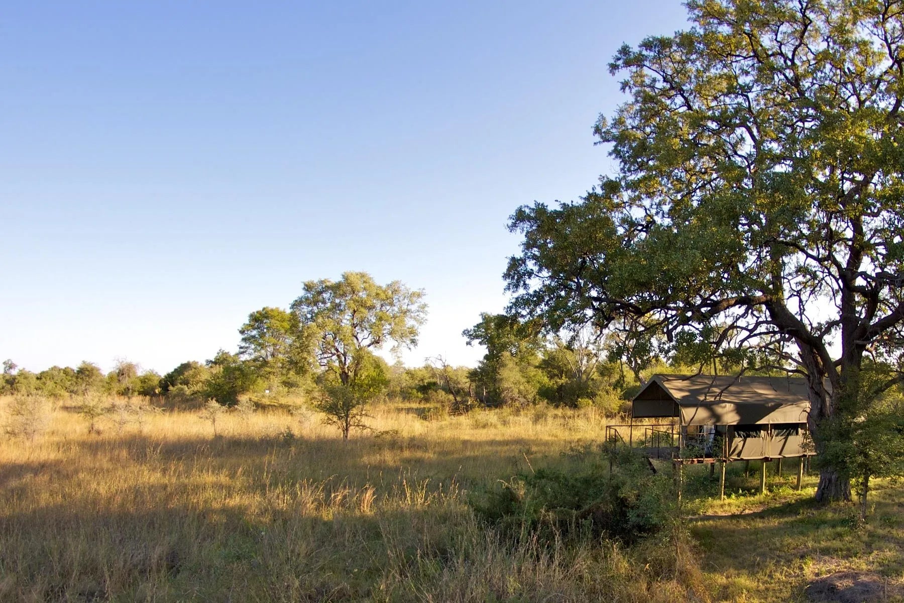 Lodge Surrounding at Nkasa Lupala Tented Lodge, Nkasa Rupara National Park, Namibia.