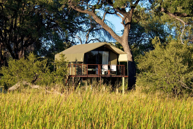 Family Tent