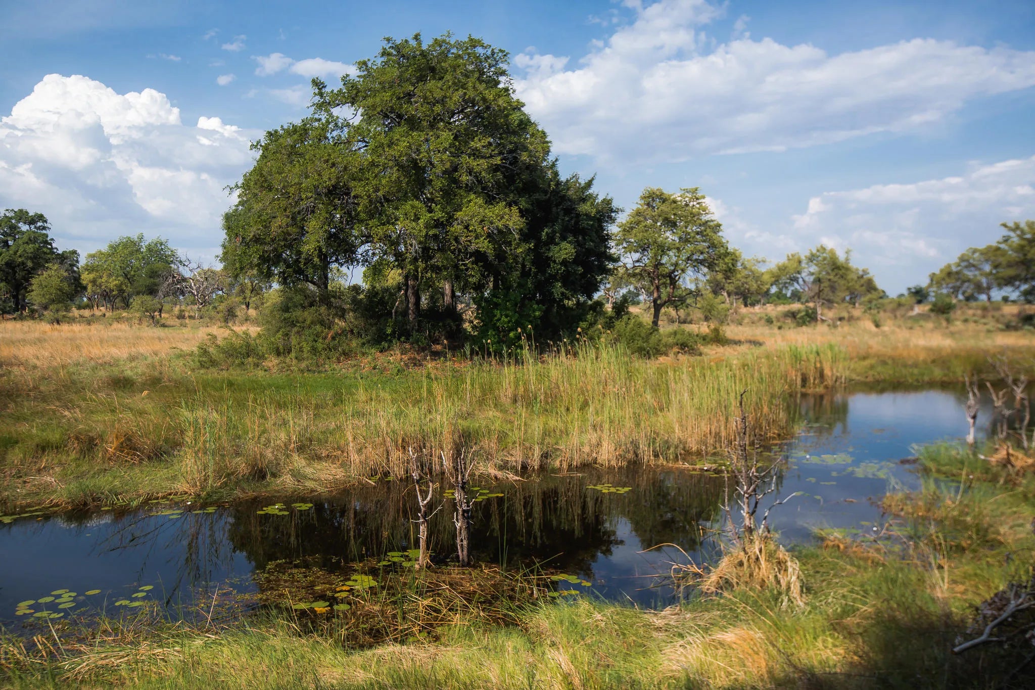 Nkasa river channels at Nkasa Lupala Tented Lodge, Nkasa Rupara National Park, Namibia.