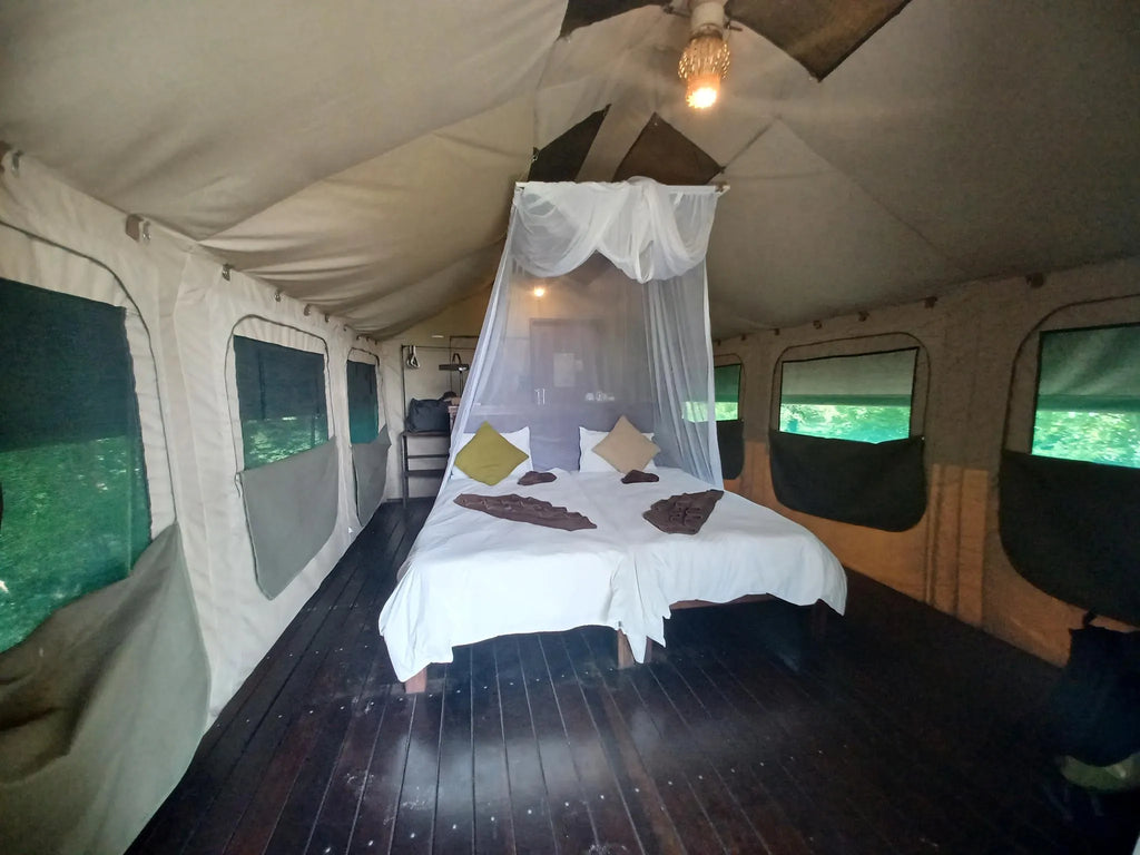 Room gallery image 4.