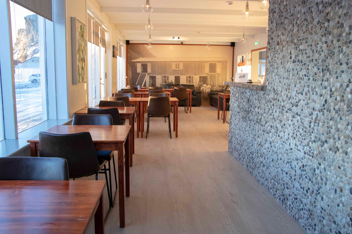 Puffin Hotel Vík