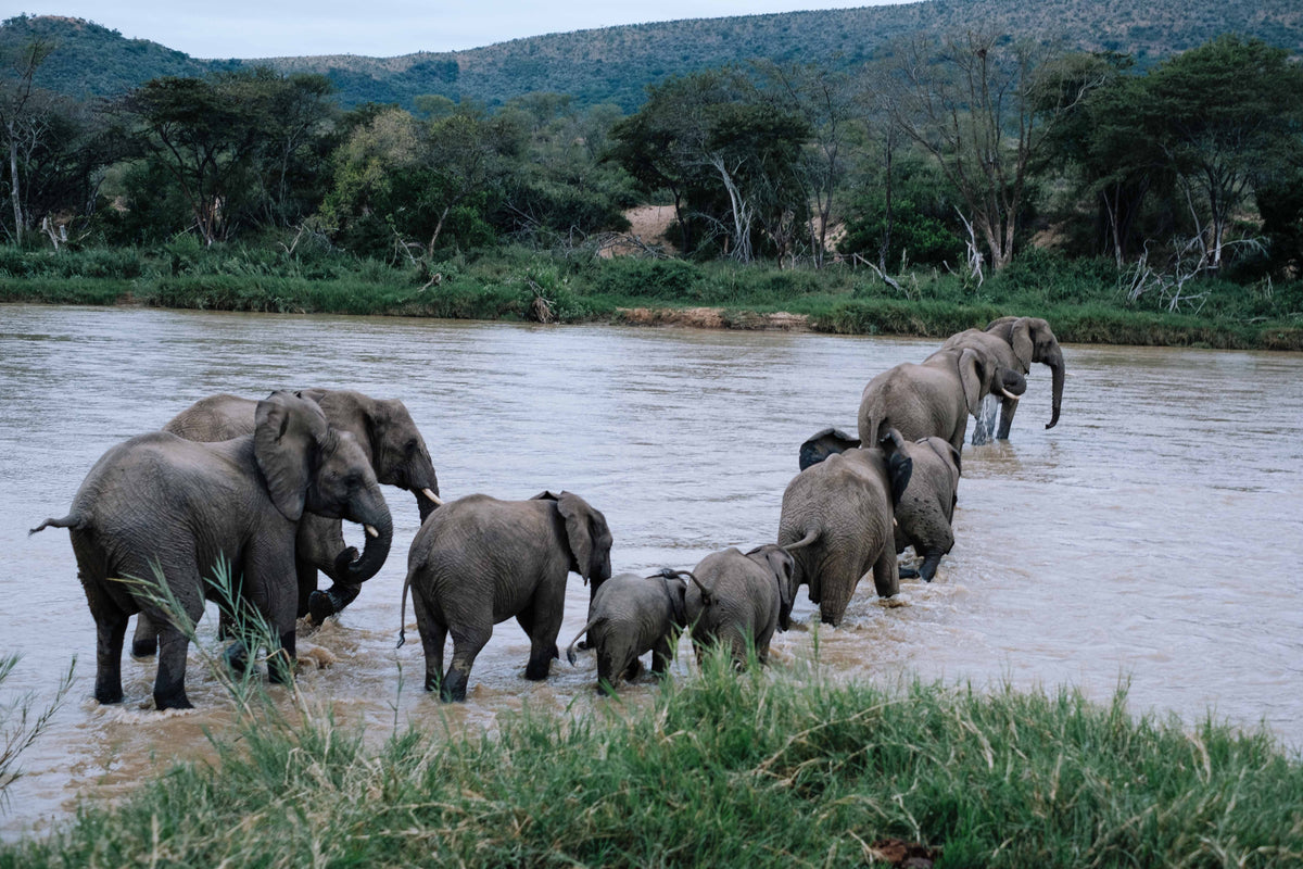 mFulaWozi Biyela Lodge