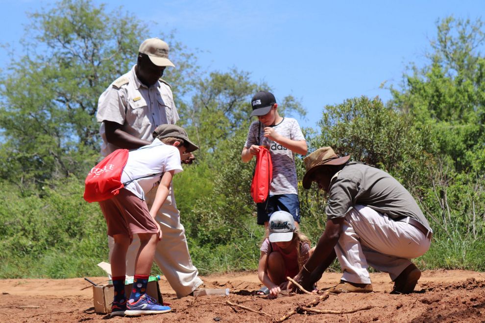 Karongwe - River Safari Lodge — Little Paws Program for Kids