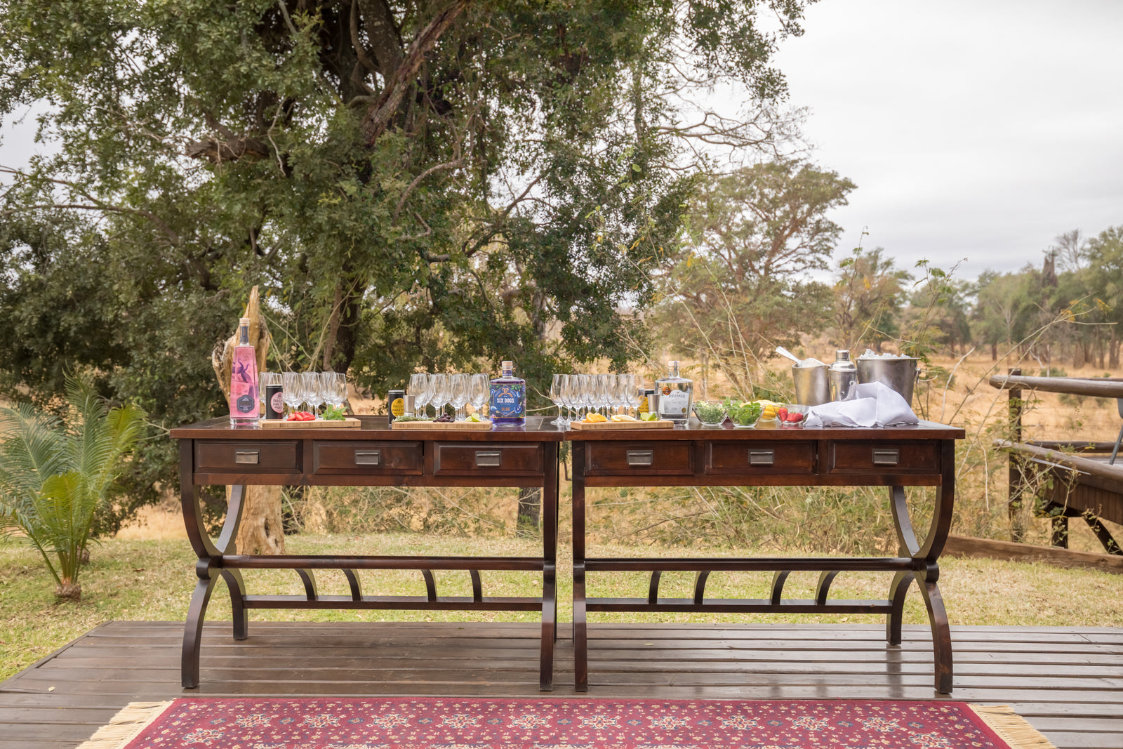 Karongwe - River Safari Lodge — Gin Tasting