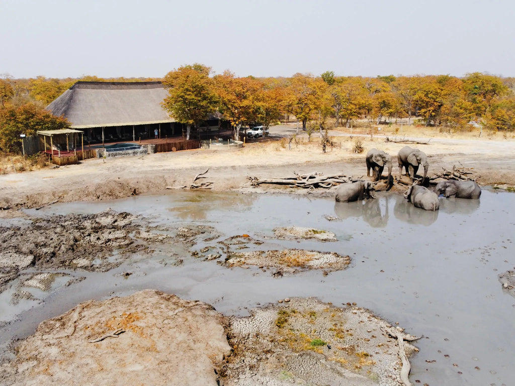 Watering hole in front of the main area at Hideaways Camp Kuzuma, Chobe, Kazuma Forest Reserve, Botswana.